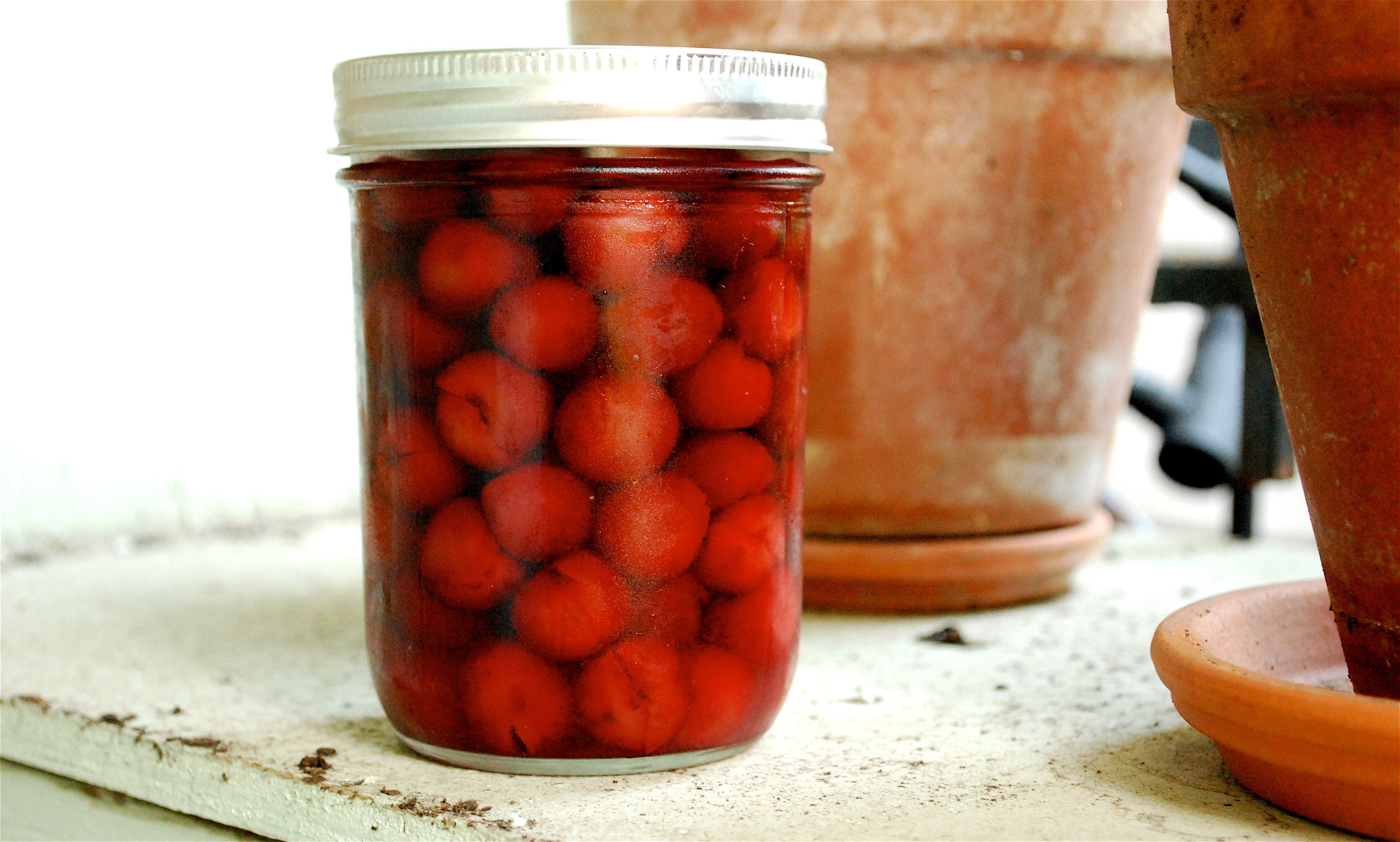 Is It True That Maraschino Cherries Were Invented in Oregon?